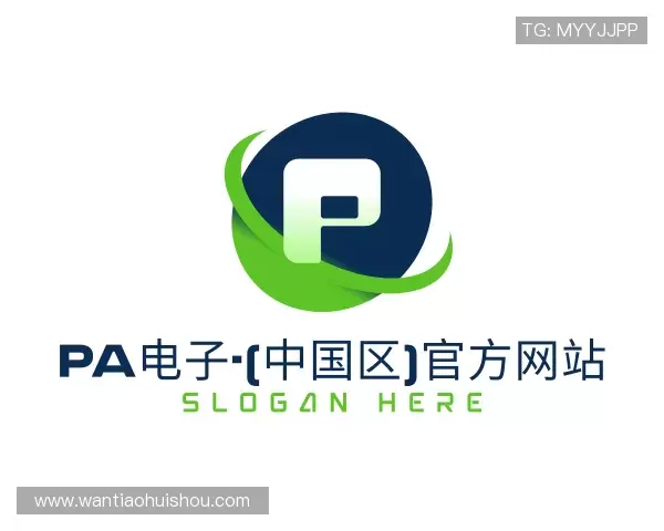 关于PA电子